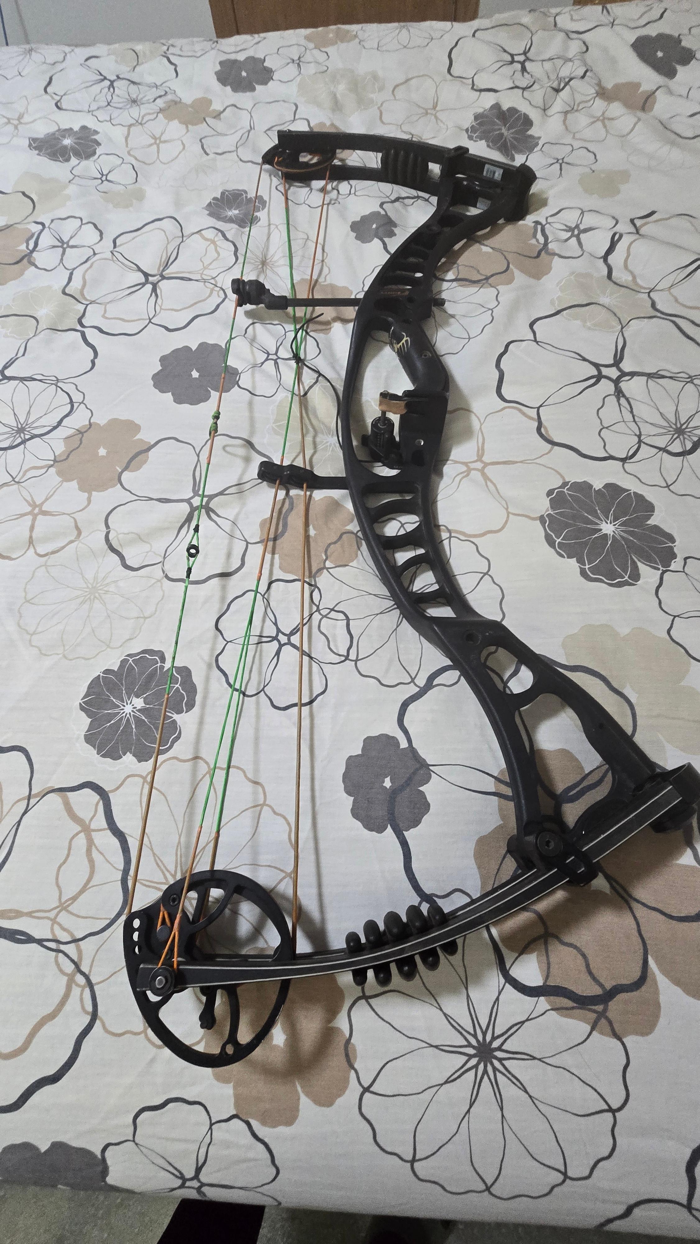 Photo of Hoyt maxxis 35 rh bow 